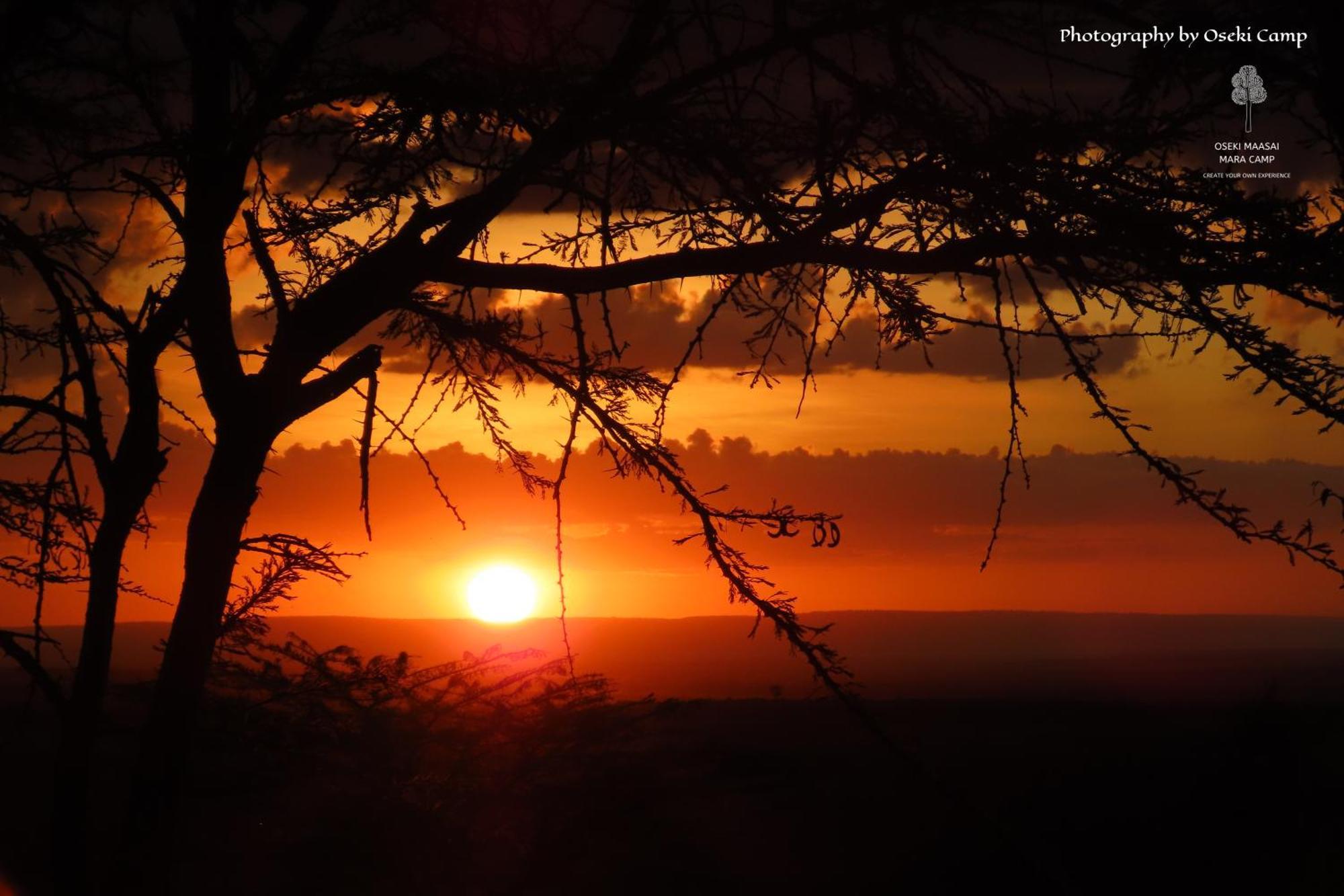 Oseki Maasai Mara Camp Hotel Narok Luaran gambar