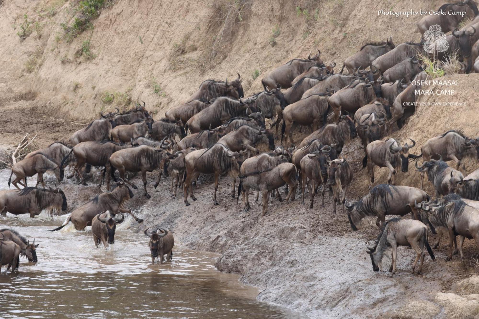 Oseki Maasai Mara Camp Hotel Narok Luaran gambar