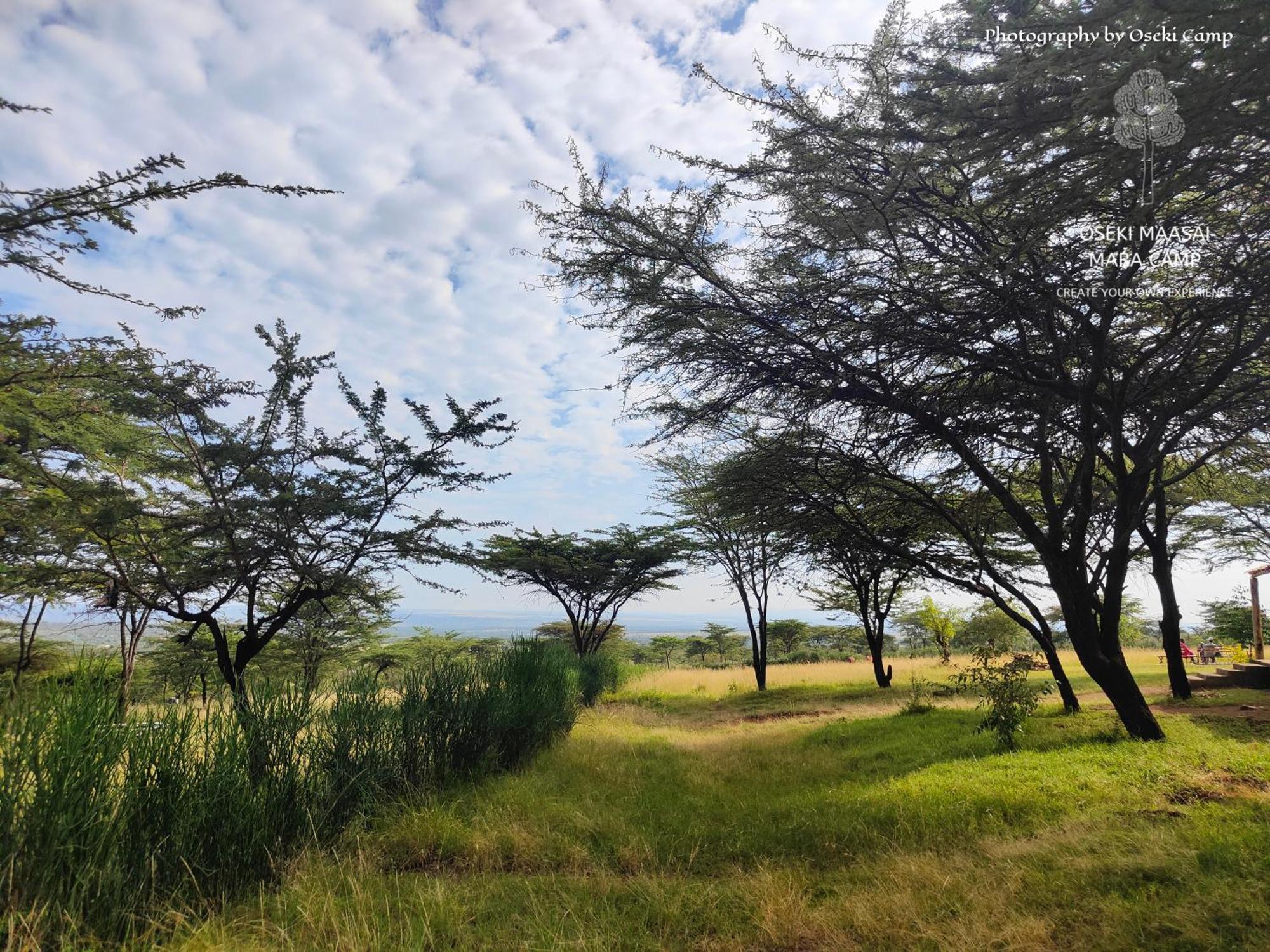 Oseki Maasai Mara Camp Hotel Narok Luaran gambar